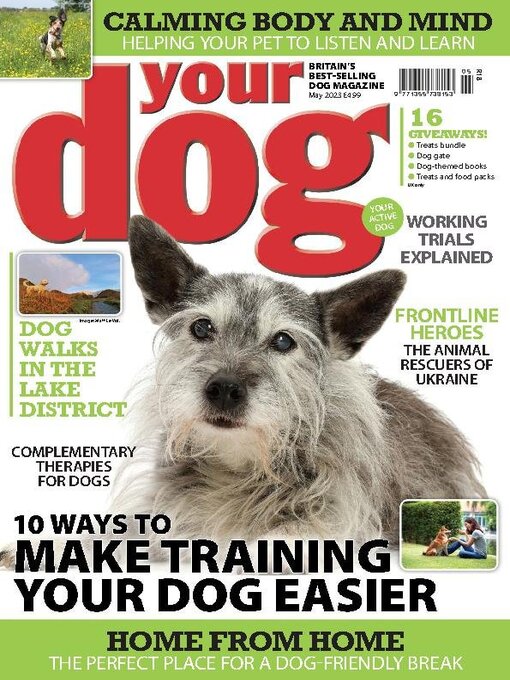 Title details for Your Dog by Warners Group Publications Plc - Available